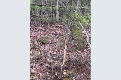 24&36 Wolf Run Trail, Greenbush, ME 04418 - Photo 12
