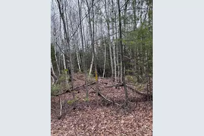 24&36 Wolf Run Trail, Greenbush, ME 04418 - Photo 10