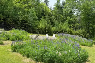 166 Station Rd, Sherman, ME 04776 - Photo 22
