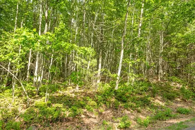 680 & 686 Beech Hill Road, Northport, ME 04849 - Photo 4