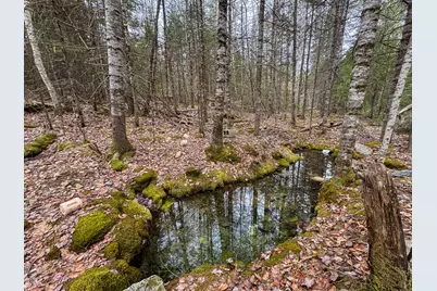 Lot 13 Fogg Brook Road, Summit Twp, ME 04493 - Photo 6