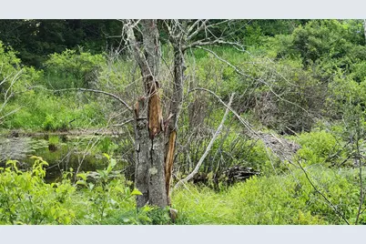 00 Dana Mill Road, Woolwich, ME 04579 - Photo 12