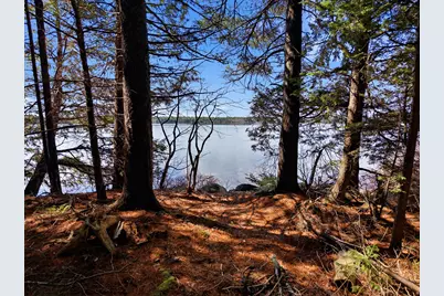 20 Moose Trail, Waltham, ME 04605 - Photo 2