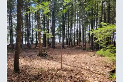20 Moose Trail, Waltham, ME 04605 - Photo 20
