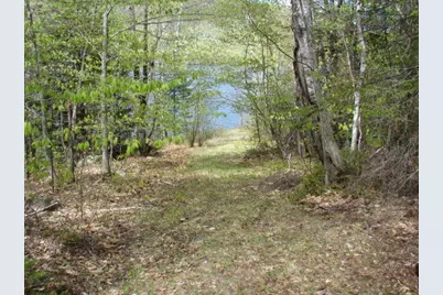 Lot 76.3 23 Acres Off Long Falls Dam Road, Limington, ME 04961 - Photo 10