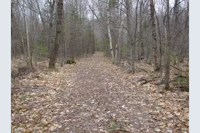 Lot 76.3 23 Acres Off Long Falls Dam Road, Limington, ME 04961 - Photo 8