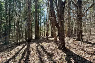 376 S Belfast Ave, Augusta, ME 04330 - Photo 68