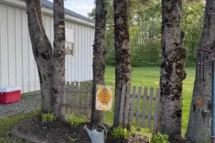 1815 Bangor Rd, Linneus, ME 04730 - Photo 40