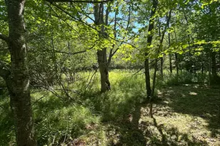1008 Cape Jellison Rd, Stockton Springs, ME 04981 - Photo 54