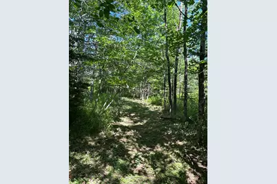 1008 Cape Jellison Road, Stockton Springs, ME 04981 - Photo 56