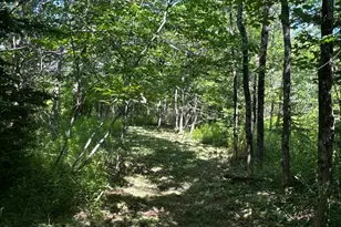 1008 Cape Jellison Rd, Stockton Springs, ME 04981 - Photo 56