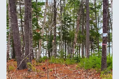 0 Jesses Beach Way, Ellsworth, ME 04605 - Photo 16