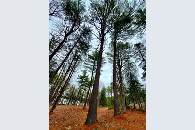 0 Jesses Beach Way, Ellsworth, ME 04605 - Photo 34