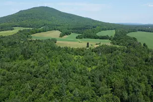 Map6 Lot31 Mountain Rd, Blaine, ME 04734 - Photo 1