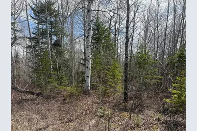 Map6 Lot31 Mountain Road, Blaine, ME 04734 - Photo 12