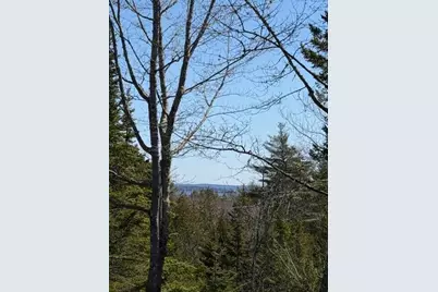39 Needles Eye Road, Lamoine, ME 04605 - Photo 40