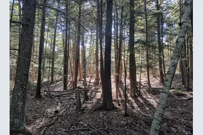 005-009A Ridge School Road, Liberty, ME 04949 - Photo 6