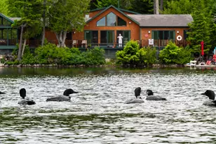 9 Outlet Cove Rd, Mariaville, ME 04605 - Photo 86