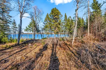 7 White Tail Lane, Gouldsboro, ME 04607 - Photo 10