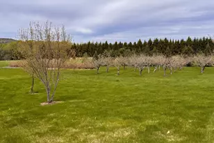 55 Niles Rd, Presque Isle, ME 04769 - Photo 18