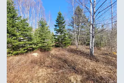 29 Reef Point Road, Addison, ME 04606 - Photo 10