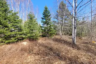 29 Reef Point Rd, Addison, ME 04606 - Photo 10