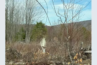 29 Haviture Way, Denmark, ME 04022 - Photo 8