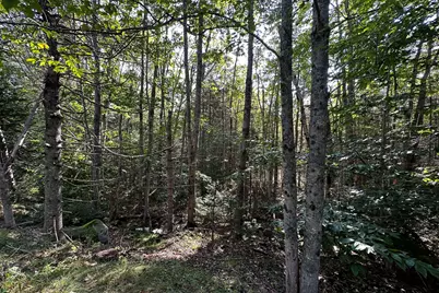 00 Cross Road, Sedgwick, ME 04676 - Photo 22
