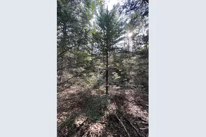 00 Cross Road, Sedgwick, ME 04676 - Photo 12