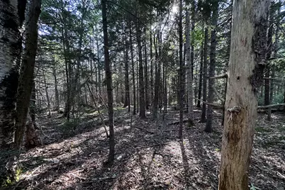 00 Cross Road, Sedgwick, ME 04676 - Photo 20