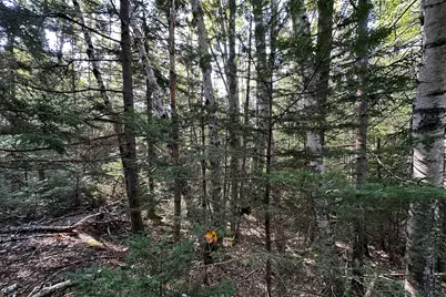 00 Cross Road, Sedgwick, ME 04676 - Photo 10