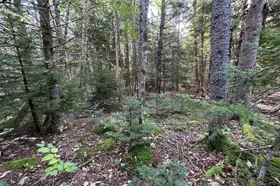 00 Cross Road, Sedgwick, ME 04676 - Photo 16