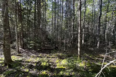 00 Cross Road, Sedgwick, ME 04676 - Photo 2
