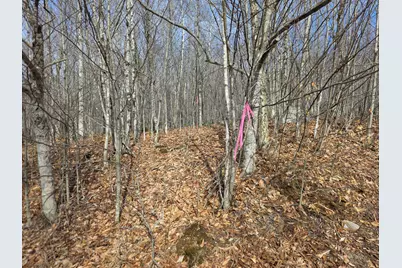 L 10 Moose Ridge Road, Oakfield, ME 04763 - Photo 4