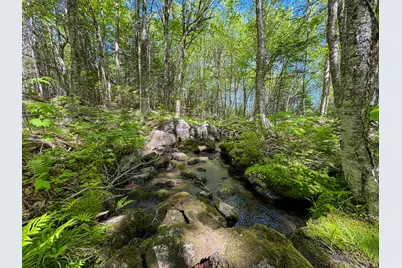 Lot 10 Morrison Brook Acres, Oakfield, ME 04763 - Photo 6
