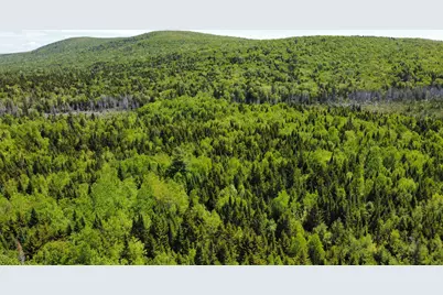Lot 10 Morrison Brook Acres, Oakfield, ME 04763 - Photo 2