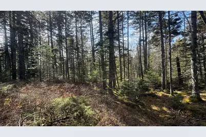 Lot 6&66 Woods Road, Deer Isle, ME 04627 - Photo 4