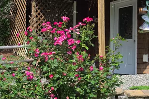139 Five Rd, Carmel, ME 04419 - Photo 52