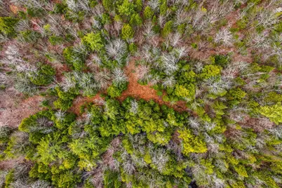 M9 L39 Mainstream Road, Harmony, ME 04942 - Photo 16