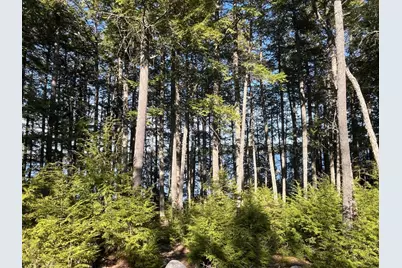 355 Nevells Way, Ellsworth, ME 04605 - Photo 8