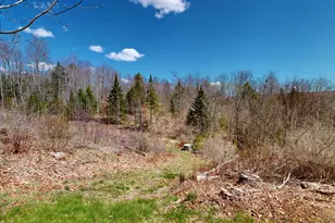 868 Paris Rd, Hebron, ME 04238 - Photo 58