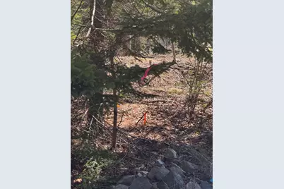 00 Gard Boulevard, Tremont, ME 04653 - Photo 12