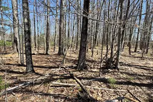 Tbd Oakwood Dr, West Gardiner, ME 04345 - Photo 1