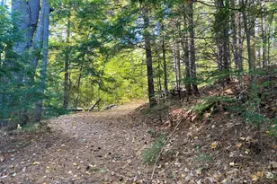 839 Brownfield Road Rd, Hiram, ME 04041 - Photo 4