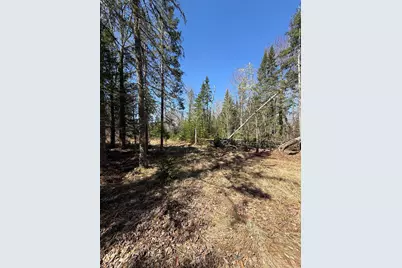 Lot 016-2 142 Old Fisher Rd Road, Holden, ME 04429 - Photo 6