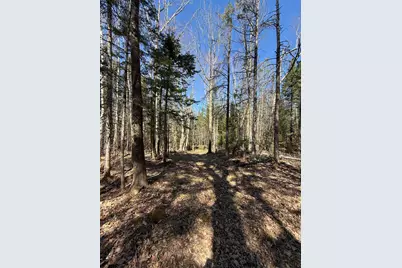 Lot 016-2 142 Old Fisher Rd Road, Holden, ME 04429 - Photo 8