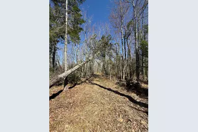 Lot 016-01 142 Old Fisher Rd Road, Holden, ME 04429 - Photo 4