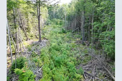 Lot 33-4 West Road, Springfield, ME 04487 - Photo 8