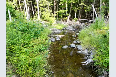 Lot 33-4 West Road, Springfield, ME 04487 - Photo 6