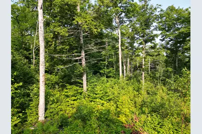 Lot 33-4 West Road, Springfield, ME 04487 - Photo 10